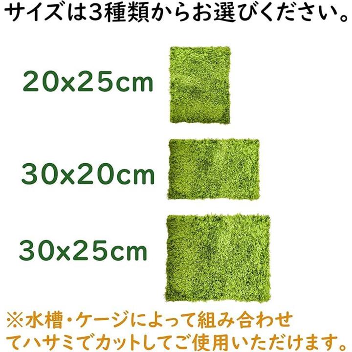 ffff904dffffff1feb1fff1fffffff0fff0fff0fff0ff70fff0fff0fbc9fb1170000000000de37000052380000003400