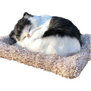 fffffffffffffffffffff28fe287e383cb000fc04f5040408048f818ff21ffe30000000000000000001ca297ab0e0b20