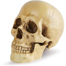 ffffff3ffc0ff80ff81ff00ff047e00fe001f003f013e007e00fe08fe13fe1ff0000000000001b1c001a101c001c1c12