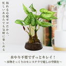 fffe9ffdff73fecbfe139023fc03fc63be63bf03fe03fe03fe38fffffff7bf779cab001cab003b3aab00244a9c9c101b