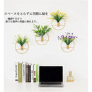 ffffffffffffffcffffffe3ffeffe773fff7ffffffffefffea0fea0fe803fe0f