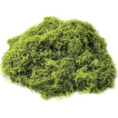 fffffffffffffffffc0ff107c023c401d0018201c010f000f801fe3fffffffff000000000000302e0030323500ab2f3c