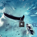 00000000801008013ef8fff94ffa63d8f818df9fcf9fc79711fb2df9ffc9bf4d