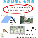 ffffdcf1ffdffff7ffffdffbffffff9fc587cf83ff93f81ff81dcd97f81fffff0000000000000000009a004400002200