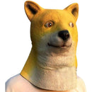 fffff3f7f007f007f807f807f807f807f807f80ff81ff01ff09fe03ff02f783f0080000000000e1e00003c1b001f1a1e