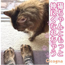 ffcff00fe00f800fc00fc00fe00ff00ffe1ffe1ffe0ff80f980f000f200f000f