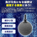 0080160c0bd0000000040002003a0c0abe007229447c66ecfeb27e826262cd4aa5a5a4a7a69ca1a09d92a9a69799ab00