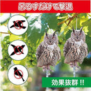 ffff8cd88000fb00b108f311d8c1b0ad9143a0e2b86d9120ac04e204bc1cf8282b2b2b2b00f95e2b00ebf6fb2b00fd3d