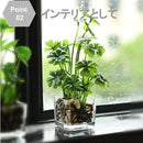 c7fff7fff7fb87ffc7ff860fc4cfc41f844f8667861f863f87008005867fe650002b2b32372b2b322b473b3f3d2b1a6b