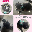 ffffdffee7808700c380c300f3c0ff40bfb3bf169fdfe783c791818181c181efeeeeececee6b242bf21fee00f09bee93