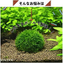 fffff7fffff7c840892180289820840080058005801ea8439804f42c8cbe800000000000003a1b3f0041413d0022452a