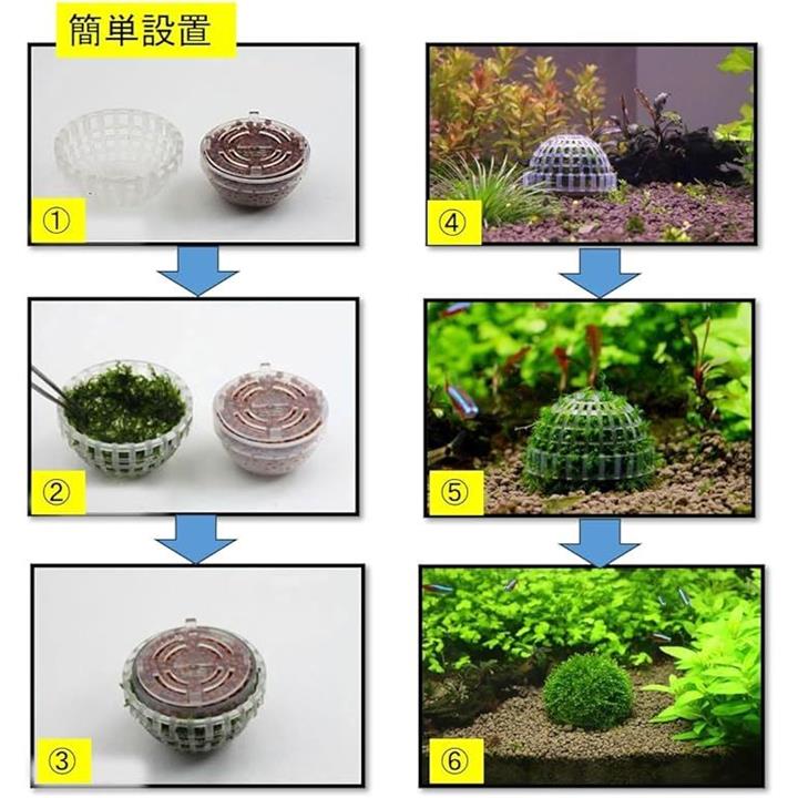 ffffa081fea5f891fa81f7ff80fffea78881ca81fec3f7f7ff80e380e780a7c000ab00000024002f006b00440000003d