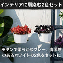 000002cd00003fff3ffe0fff0ffb19c000820fff0ffa04f800784fbd737200a000000000558b10093e061edf4f8a9e96