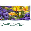 ffffffffffffffffbe1f8008800080008000840080008000ffffffffbf9fffff0000000000d59a2b00bf2e3000000040