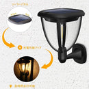 ffffffffff00c301c3cfff7dff7dffff9facffc0ffe0e1ece87fe0fff1ffffff