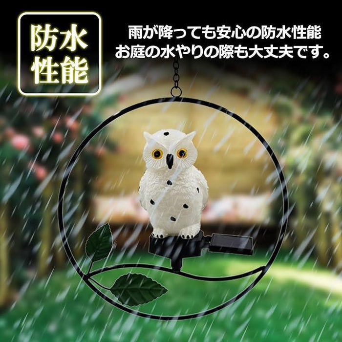 Amazon.co.jp: Drawihi ソーラーライト ガーデンライト ソーラー