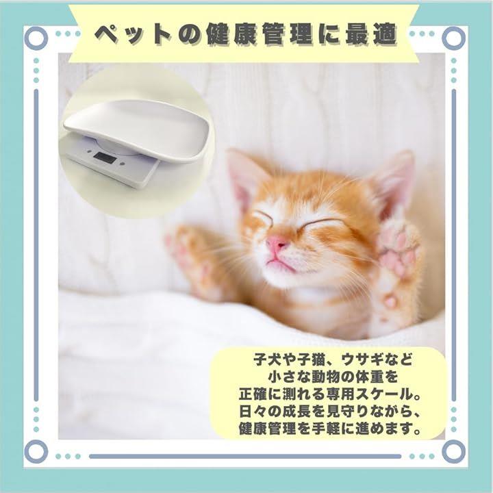 ffff3c0e5ffd49fd7dff4131610177617c015c417f817fe77fff5fff4f2f7fff2b8989897e22ebde7ec710127eb32b2d