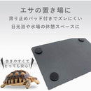 fffffffff627ce7fffffffffffffffe0fe00fc00fe00fe00fe00c3018107fb9f9c9c9c9cabababab0000aba40000939b