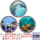 ffffffbffa1ff19ff19ff81ff83fd38781038103a3018103c983e7cbfff8f278