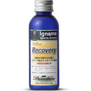 ffffff1ffd1ffc1ff80ff80ff98ff80ffc0ffb4ffc0ffe8fff8fff8ffc0ff80f000000000000a500002b2100002bab00