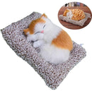 ffffffe0fde0f860e0e081fb814f8007c281e070f031f803fc47fe0fff1fff9f0000000000cca40b00ecb2140000c9de