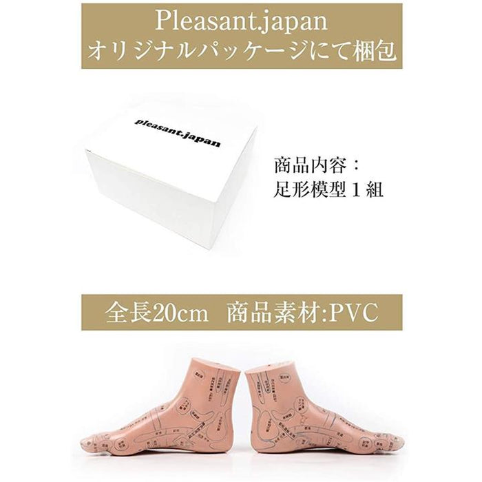 足つぼ 模型 足つぼマッサージ 体系的に覚えるツボグッズ 足裏
