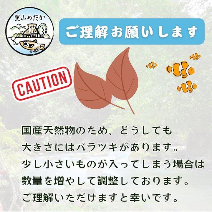 ffffffffe080f800efffff9de01ffc1dfe7fffffc97fd8ffffffffffffffefcf39555045306b3c391c3d093d2b336000