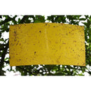 28809488204289de89fe47fe4ffecdff07fe17ff0ffe6fffc7ff56ff430370c741802b3c752223242d21232393212323