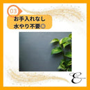 00005fff777f403f403f403f70077017700770077007700770077fff7d7b7fff1c1c1c1c1c1b1c241c8d913f1c89953d