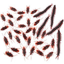 fffffff3ec6b531b13a3de22b8516411d10594fdb699ff61e00d9c95ffffffff