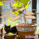 0c049b8cffdc7a1d19dd593d7fd9ffdf7ffdfffddf41840181c1a001040080962f982e2d2498188e18388b950e221915