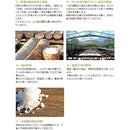 ffff819effffbfff80f58090c280a080dfe79fbf8fff98ff94ff90ff80ffcfff