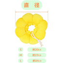 fffffc1ffc1ffffff63ff81ff00ff88ff00ff80ffc1fff1ffb0ffffffb0ffa0f00000000001a26230024250000005800