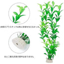 ffffffc7f9faf7e6fbeafff9ffe9ffebfbedffe1f0e1f0f1f8f9fff3fff7fff300000000005a006900000053009c002b