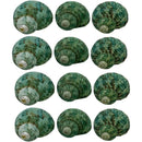 ffffe223c221c223efffe223c223c223ffffe221c001f223ffffe221c801e263000000000000003200000000005c0000