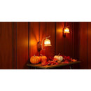 0000021012380b7903fb0bf21bc01bc01bc00a800280038003f803a402f001c00c0d09040e0a09050c0d1e06090612fe