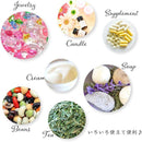 ffffdfffc6f882fb8bb1abb1c7fffdffff7bfe51cfc387f3862bc53ffc3ffa7f0000000000111a2700001d80001a449f