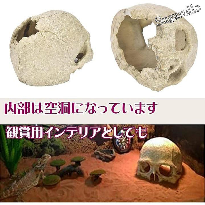 爬虫類 隠れ家 シェルター テラリウム ケージ がいこつ 爬虫類飼育