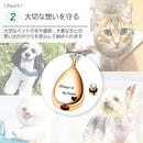 ffe1ffe3eff1fff3f9a71c63009013f06f7f77bf559efd33fe77efeb7feb7fff0000001b2b2b001e32841d139c2b191e