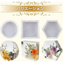 ffffffffe203e003ffffffffc431c421c421ec31fcfdfdfdba22c631c63fffff242424242424242424a0ab9e24ab1e27