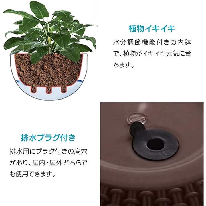 ffff8bffc8ffc0ffd0ffc0ffc1ffe3ffff00ff00ff00ff00ff00ff00ff00ff00