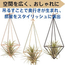 00010000ffffaef7e68bffffff7bffffffbfcfffffffafeb8571ce41ee3bfe3f1a1a1a1a009a4700000000f51b1c2120