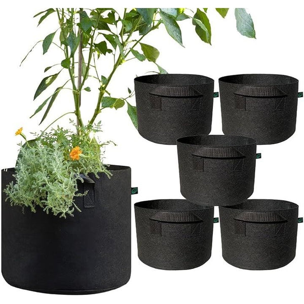 f577f26ff37fefffff00fc00fb00db81d3c388c3880080008000800081ffffff0036413400002222004000eb00a22222