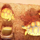 ffffffff8fff27f37fe0ffc0ff007e00030003870337787f003f003f10000000