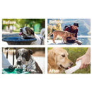 f0ffe0fb20e3e1a1e38183a383e3c3ff98ffd0f1c3e1e3b3e3b7ad9485cca9f9