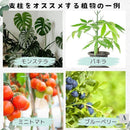 ffffbfffaff789d1839582f380f788fbbeff80c085a4c2a5918887909795f7b5000000006b2d004b0075007b0017eb37