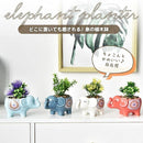 ffffdfffa332e003fe2bfe83feff7e7e3e0e3cff5ecc1c480868cffcffffffff000000002b00616c470024202b89802b