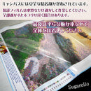 ffffffff936affff0fd362a380dc00c7c0a701e3e2b0e693d20fd010f878f2f2