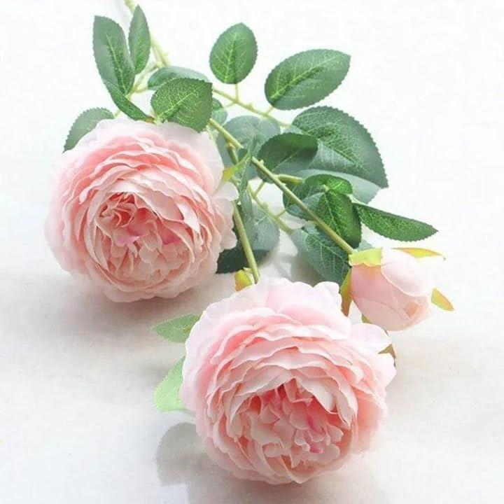 f7ffef7ff60ff09fed0fe307ec87e243c043e047c1e3e37ffa0ffc0ffc0ffc1fd5366b6b6bde636b9c013b319c2b06ff