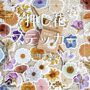 fc7c305e3fff0fee0719110f201d248e0e32bc0eb45ebbce46e3159fe5fdf15e